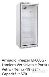 freezer colonna