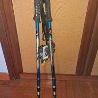 treking bastoncini