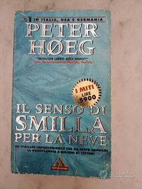 Il senso di Smilla per la neve