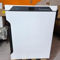 FRIGO GASTRODOMUS PROFESSIO