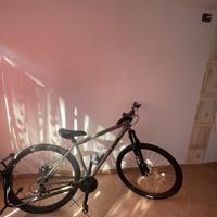 mountanbike trubbiani