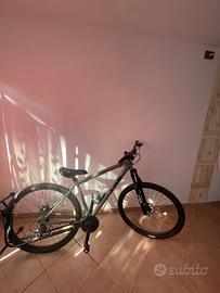 mountanbike trubbiani