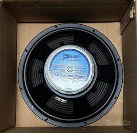 Altoparlante Goldenfalcon SK-10FRX