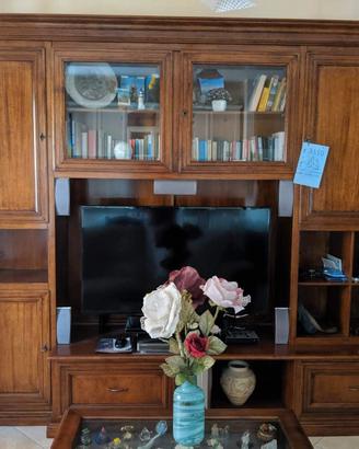 Mobile TV