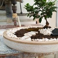 Vaso bonsai in pietra naturale