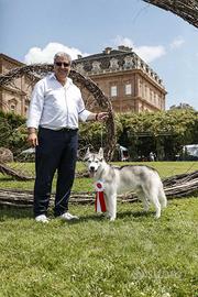 Siberian Husky Riproduttore selezionato ENCI