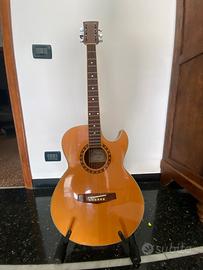 Ibanez acustica