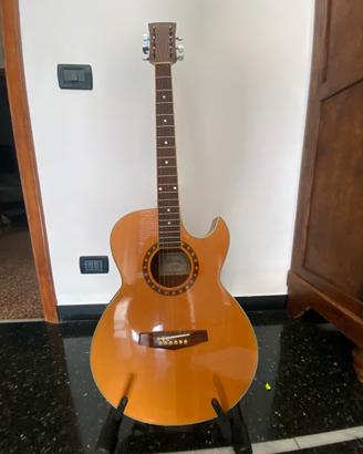 Ibanez acustica
