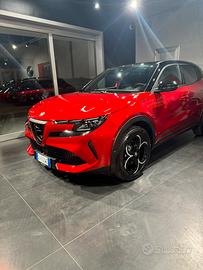 Alfa junior speciale ibrida