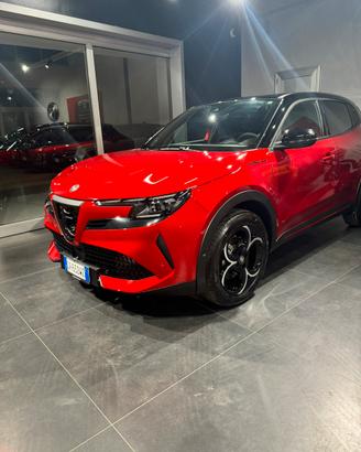 Alfa junior speciale ibrida