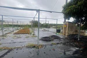 Terreno di 3910 m² a Albenga