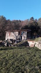Rustico con terreno