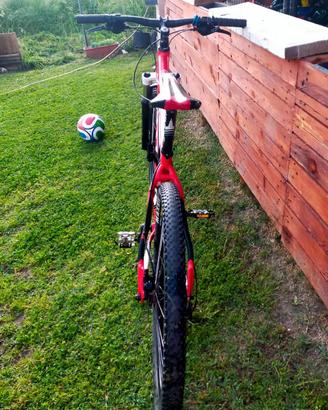MTB 29