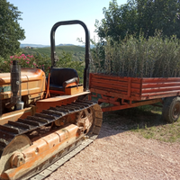 Fiat 605c montagna