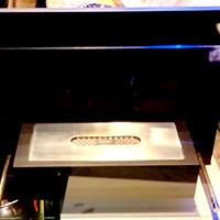 Camino in bioetanolo da parete