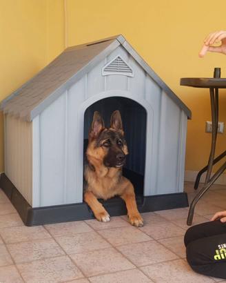 Cuccia per cane