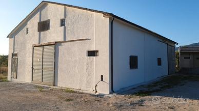 Laboratorio Artigianale con terreno