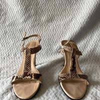 Sandalo estivo, tema serpente