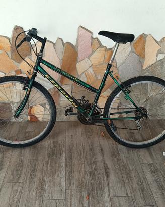 mtb 26