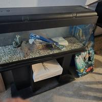 ACQUARIO PESCI con Mobile