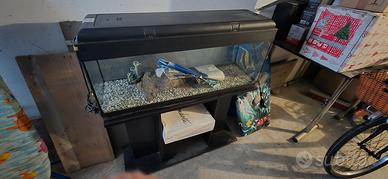 ACQUARIO PESCI con Mobile