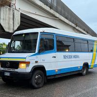 Mercedes Vario 815