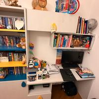 Scrivania e libreria