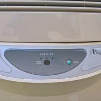 Condizionatore Pinguino DeLonghi FX550 eco