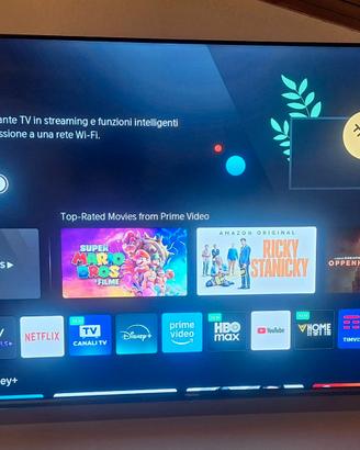 Tv 55 pollici Hisense  QLED 4K 144Hz