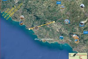 Terreno con uliveto mq 1 ettaro