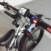 bicicletta elettrica