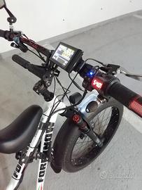 bicicletta elettrica