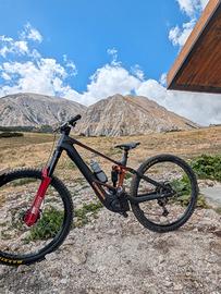 orbea Wild 