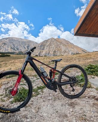 orbea Wild 
