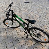 Bicicletta mountain bike