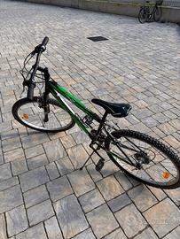 Bicicletta mountain bike