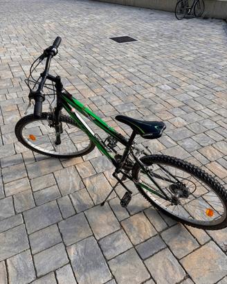 Bicicletta mountain bike