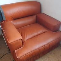 Poltrone in pelle vintage