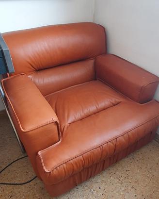 Poltrone in pelle vintage