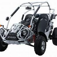 Ricambi usati Buggy PGO 250