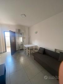 Bilocale completamente arredato