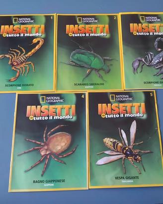 LOTTO COLLEZIONE NATIONAL GEOGRAFIC 5 INSETTI 