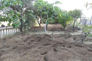 Terreno agricolo