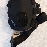 Pettorina cani GoPro