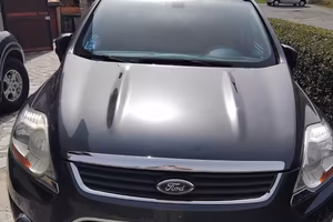 kuga del 2009