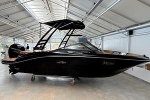 Sea Ray 19 SPO