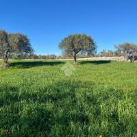 TER. RESIDENZIALE A SANTERAMO IN COLLE