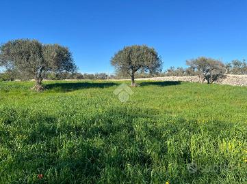 TER. RESIDENZIALE A SANTERAMO IN COLLE