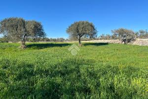 TER. RESIDENZIALE A SANTERAMO IN COLLE