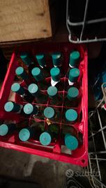 bottiglie vino vuote scure da 0,500lt